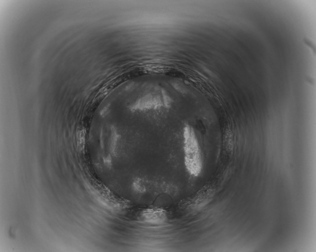 X0000100380271200806201657