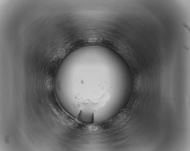 X0000100380272200806201657