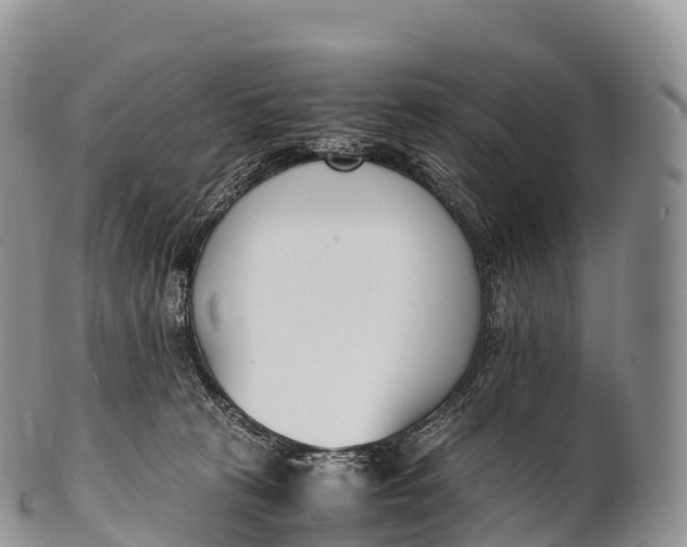 X0000100380273200806201657