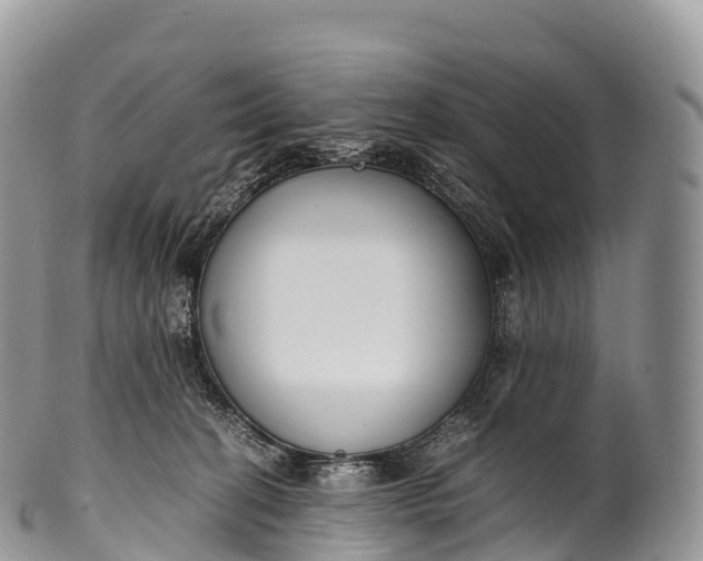 X0000100380274200806201657