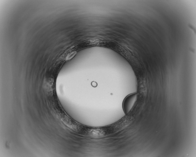 X0000100380275200806201657