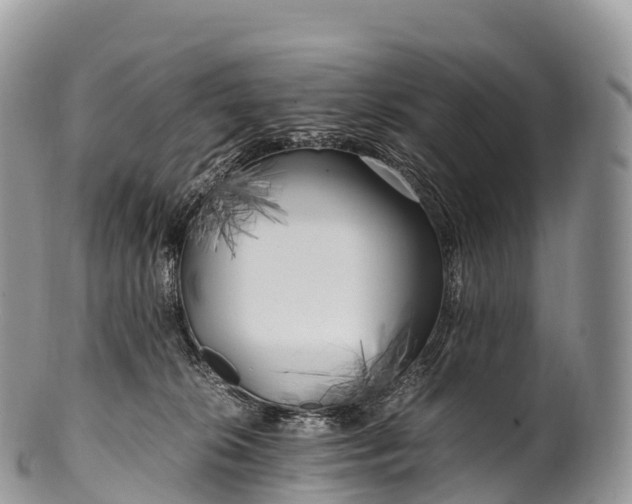 X0000100380276200806201657