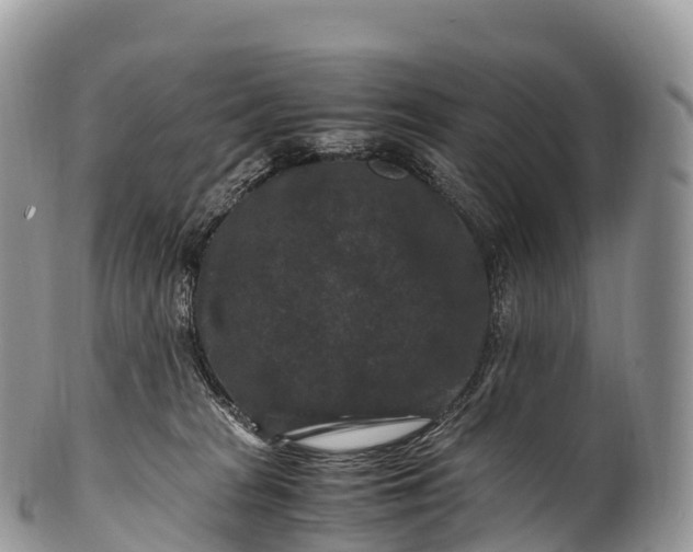 X0000100380277200806201657