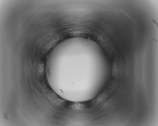 X0000100380278200806201657