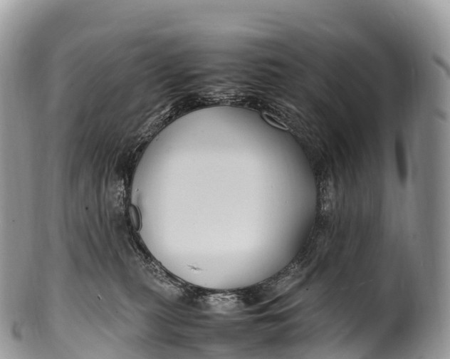 X0000100380279200806201657