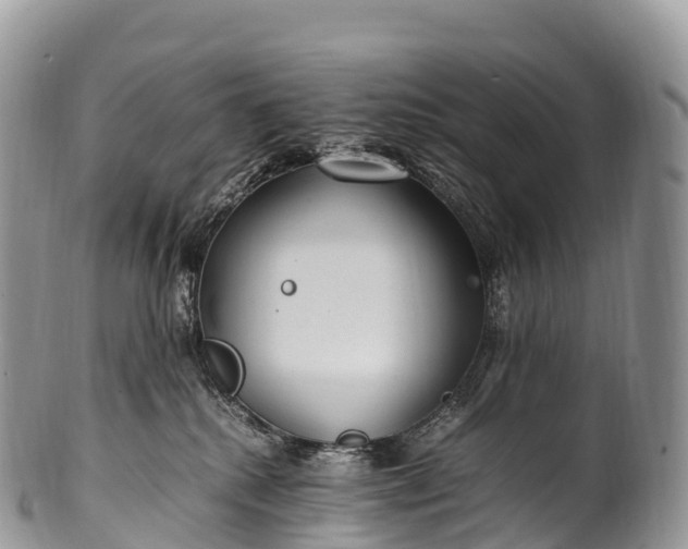 X0000100380280200806201657