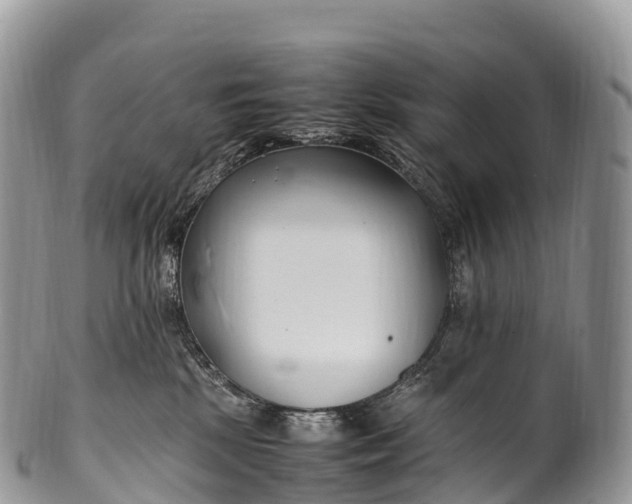 X0000100380281200806201657