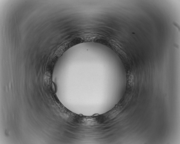 X0000100380283200806201658