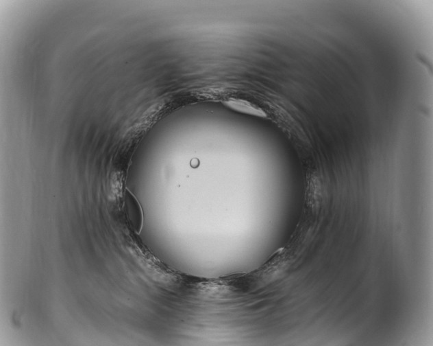 X0000100380284200806201658