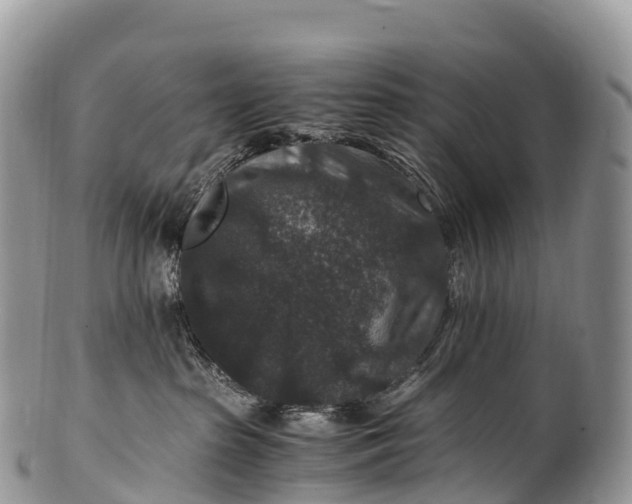 X0000100380285200806201658