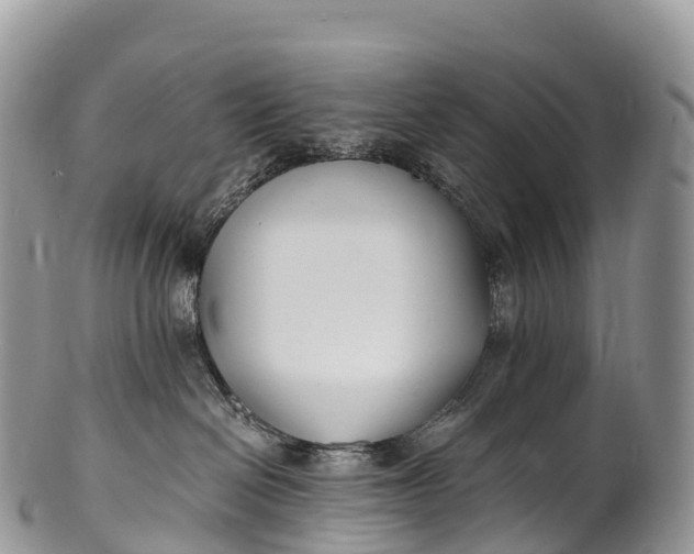 X0000100380286200806201658