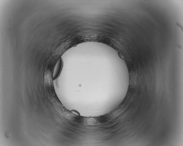 X0000100380287200806201658
