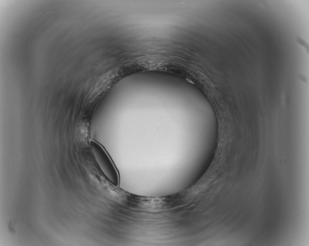 X0000100380288200806201658