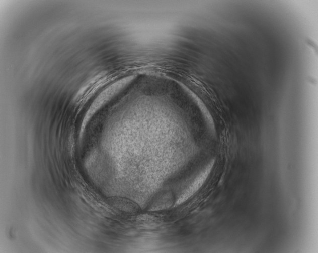 X0000100380290200806201657