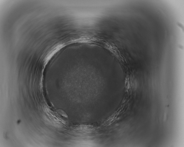 X0000100380292200806201657