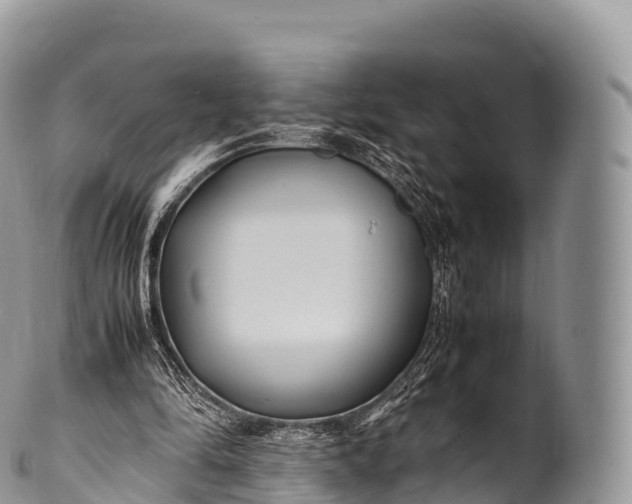 X0000100380294200806201657