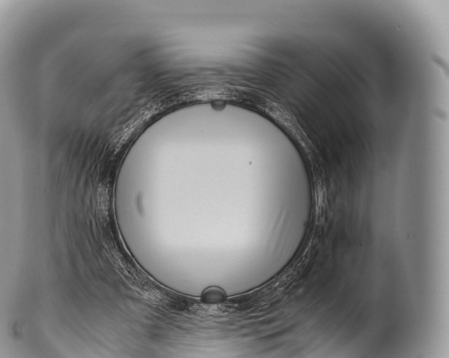 X0000100380297200806201657