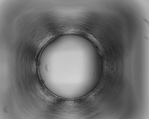 X0000100380298200806201657