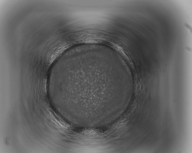X0000100380299200806201657