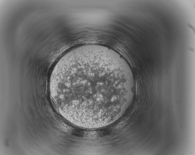 X0000100380301200806201657