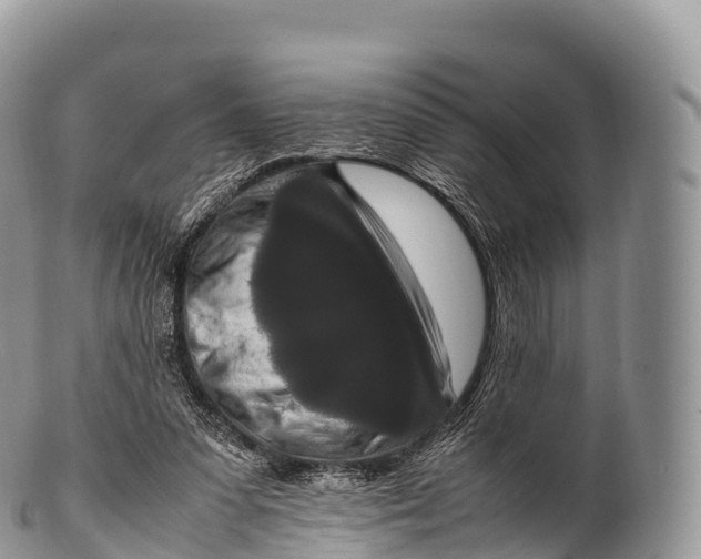 X0000100380303200806201657