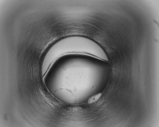 X0000100380304200806201657