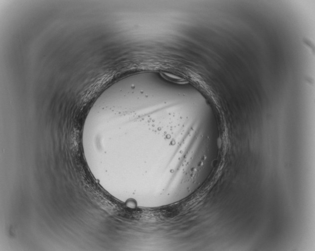 X0000100380305200806201657