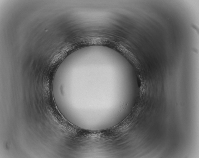 X0000100380306200806201657