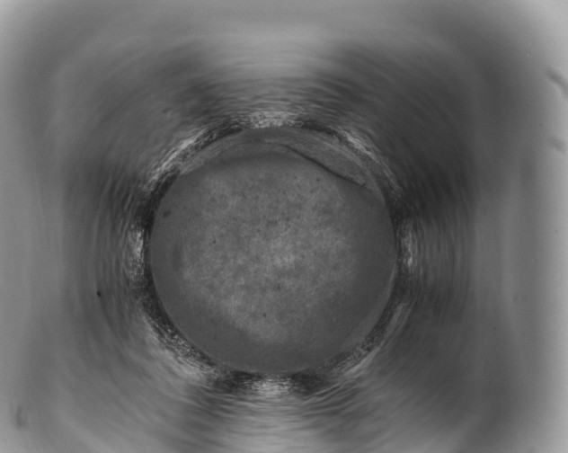 X0000100380308200806201656