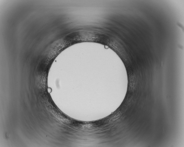 X0000100380309200806201656