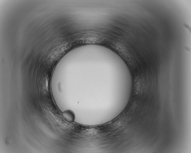 X0000100380310200806201656