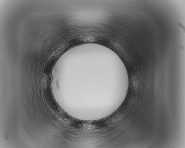 X0000100380311200806201656