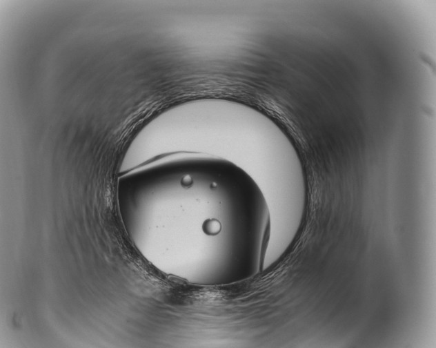 X0000100380313200806201656