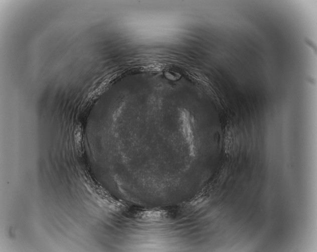 X0000100380314200806201656