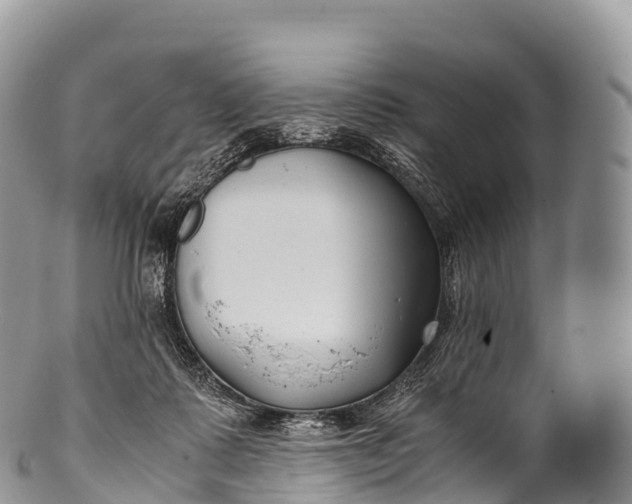 X0000100380315200806201656
