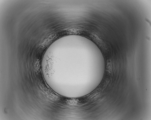 X0000100380318200806201656