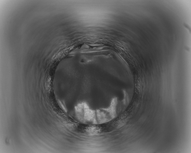 X0000100380319200806201656