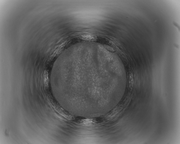 X0000100380320200806201656