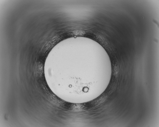 X0000100380321200806201656
