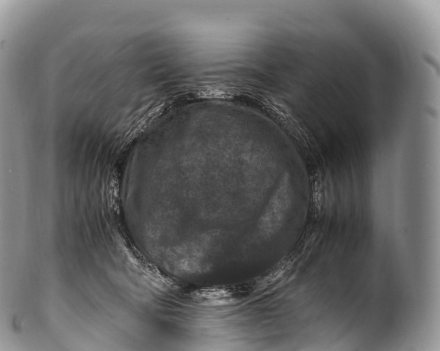 X0000100380322200806201656
