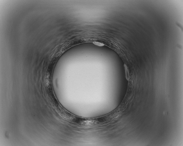 X0000100380323200806201656