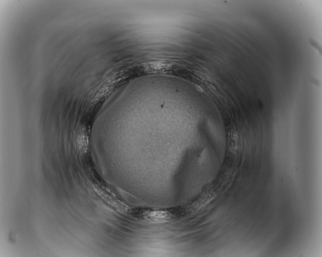 X0000100380324200806201656