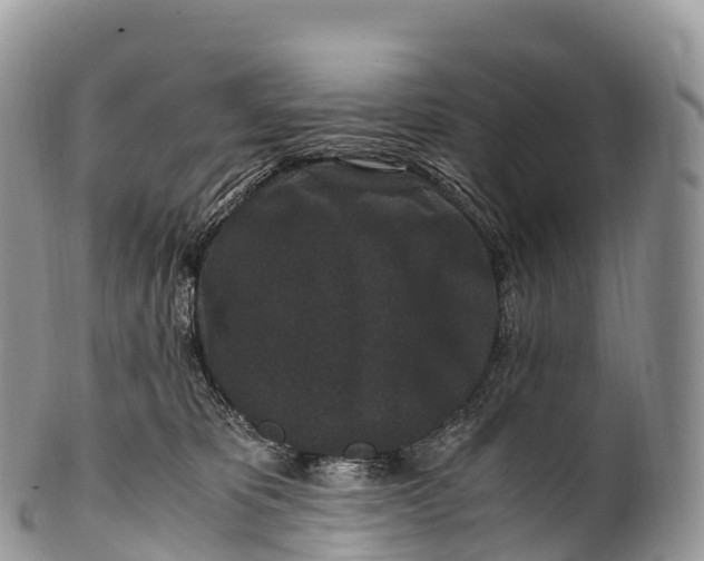 X0000100380325200806201656