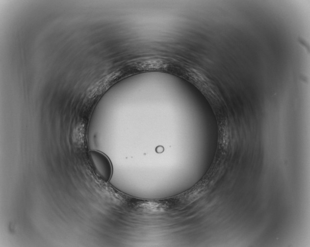 X0000100380326200806201656