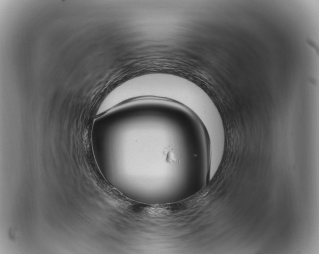 X0000100380327200806201656