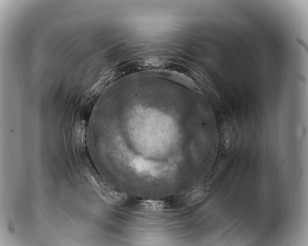 X0000100380328200806201656