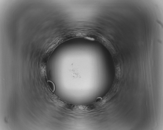 X0000100380329200806201656