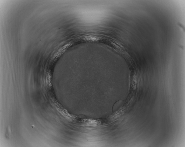 X0000100380330200806201656