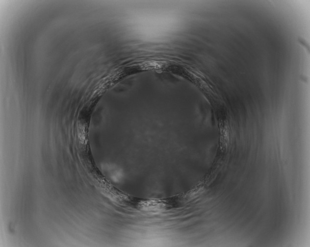 X0000100380331200806201656