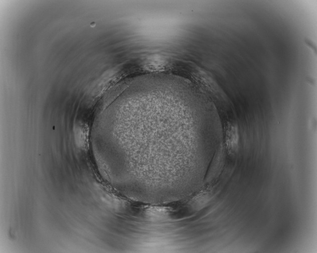 X0000100380332200806201656